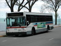 CTA MAN Americana