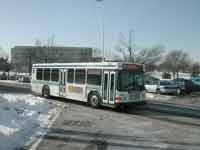 StarTran Gillig Low Floor